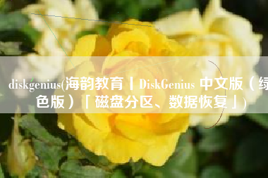 diskgenius(海韵教育丨DiskGenius 中文版（绿色版）「磁盘分区、数据恢复」)