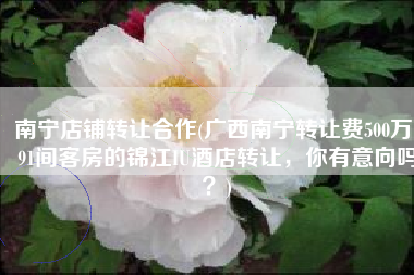 南宁店铺转让合作(广西南宁转让费500万，91间客房的锦江IU酒店转让，你有意向吗？)