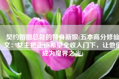 契约婚姻总裁的替身新娘(五本高分修仙文：女主把正道希望全收入门下，让他们成为魔界之光)