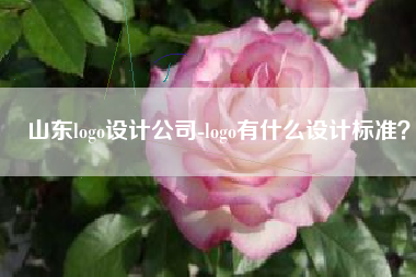 山东logo设计公司-logo有什么设计标准？