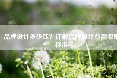 品牌设计多少钱？详解品牌设计费用收取标准