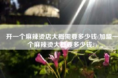 开一个麻辣烫店大概需要多少钱(加盟一个麻辣烫大概要多少钱?)