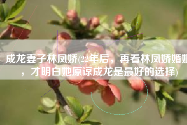 成龙妻子林凤娇(22年后，再看林凤娇婚姻，才明白她原谅成龙是最好的选择)