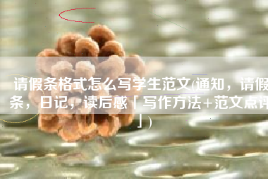请假条格式怎么写学生范文(通知，请假条，日记，读后感「写作方法+范文点评」)