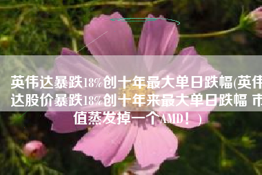 英伟达暴跌18%创十年最大单日跌幅(英伟达股价暴跌18%创十年来最大单日跌幅 市值蒸发掉一个AMD！)