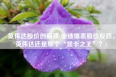 英伟达股价创新高(业绩爆表股价反跌，英伟达还是那个“显卡之王”？)