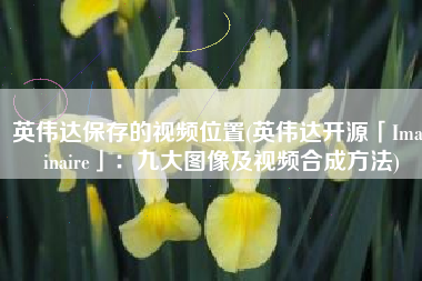 英伟达保存的视频位置(英伟达开源「Imaginaire」：九大图像及视频合成方法)