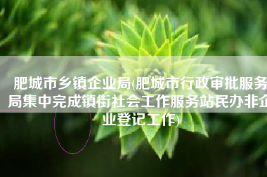肥城市乡镇企业局(肥城市行政审批服务局集中完成镇街社会工作服务站民办非企业登记工作)