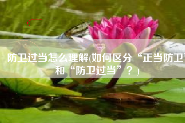 防卫过当怎么理解(如何区分“正当防卫”和“防卫过当”？)