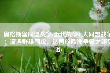 奥格斯堡同盟战争(近代战争4 大同盟战争：遭遇群雄围攻，法国的欧洲争霸之路受阻)
