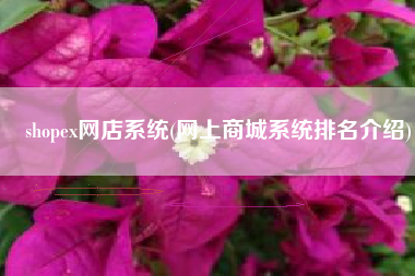 shopex网店系统(网上商城系统排名介绍)