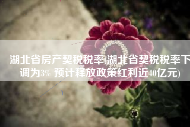 湖北省房产契税税率(湖北省契税税率下调为3% 预计释放政策红利近40亿元)