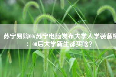 苏宁易购00(苏宁电脑发布大学入学装备榜：00后大学新生都买啥？)