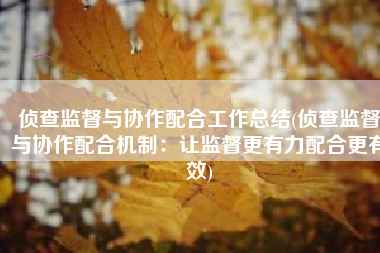 侦查监督与协作配合工作总结(侦查监督与协作配合机制：让监督更有力配合更有效)