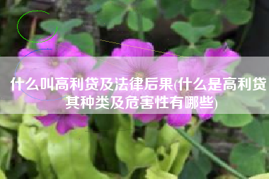 什么叫高利贷及法律后果(什么是高利贷，其种类及危害性有哪些)
