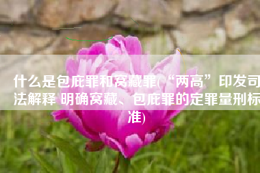 什么是包庇罪和窝藏罪(“两高”印发司法解释 明确窝藏、包庇罪的定罪量刑标准)