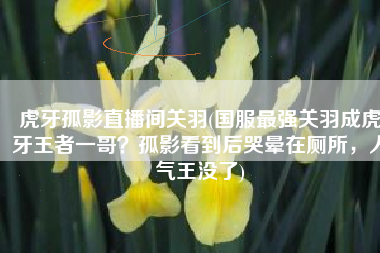 虎牙孤影直播间关羽(国服最强关羽成虎牙王者一哥？孤影看到后哭晕在厕所，人气王没了)