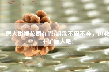 唐人影视公司在哪(胡歌不离不弃，也救不了唐人吧)