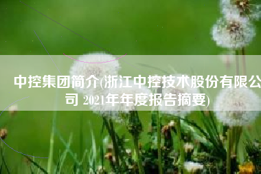 中控集团简介(浙江中控技术股份有限公司 2021年年度报告摘要)