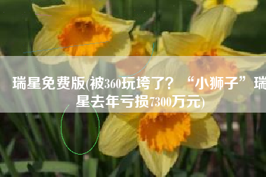 瑞星免费版(被360玩垮了？“小狮子”瑞星去年亏损7300万元)