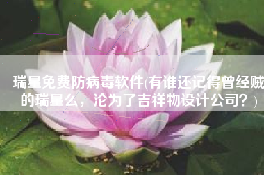 瑞星免费防病毒软件(有谁还记得曾经贼屌的瑞星么，沦为了吉祥物设计公司？)