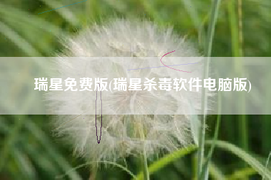 瑞星免费版(瑞星杀毒软件电脑版)