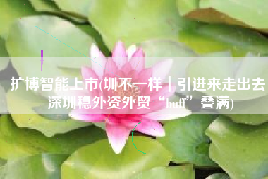 扩博智能上市(圳不一样｜引进来走出去，深圳稳外资外贸“buff”叠满)