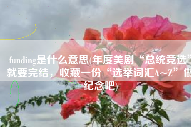 funding是什么意思(年度美剧“总统竞选”就要完结，收藏一份“选举词汇A~Z”做纪念吧)