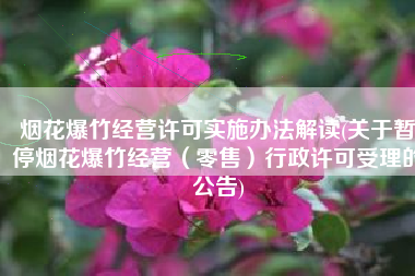 烟花爆竹经营许可实施办法解读(关于暂停烟花爆竹经营（零售）行政许可受理的公告)