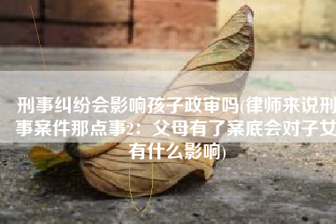 刑事纠纷会影响孩子政审吗(律师来说刑事案件那点事2：父母有了案底会对子女有什么影响)