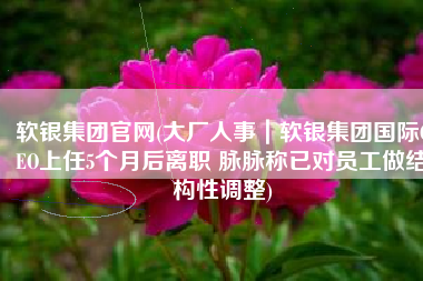 软银集团官网(大厂人事｜软银集团国际CEO上任5个月后离职 脉脉称已对员工做结构性调整)