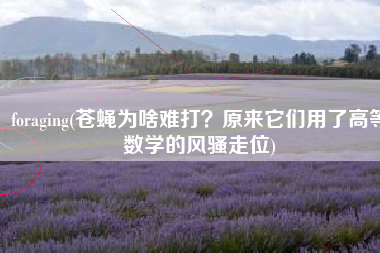 foraging(苍蝇为啥难打？原来它们用了高等数学的风骚走位)