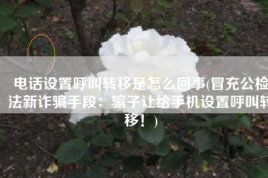 电话设置呼叫转移是怎么回事(冒充公检法新诈骗手段：骗子让给手机设置呼叫转移！)