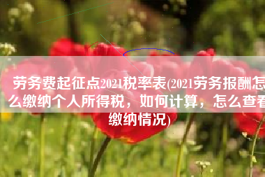 劳务费起征点2021税率表(2021劳务报酬怎么缴纳个人所得税，如何计算，怎么查看缴纳情况)
