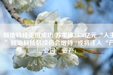 顾地科技重组成功(苏孝锋4.678亿元“入主”顾地科技后续仍会增持 ?或将注入“产业园”资产)
