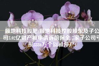 顾地科技股吧(顾地科技控股股东及子公司3.02亿财产被申请诉前保全 7家子公司亏损3886万个别被停产)