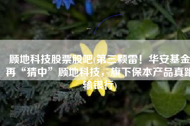 顾地科技股票股吧(第三颗雷！华安基金再“猜中”顾地科技，旗下保本产品真跑输银行)