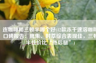 连咖啡和三顿半哪个好(12款冻干速溶咖啡口碑报告：鹰集、时萃综合表现佳，三顿半性价比“拖后腿”)