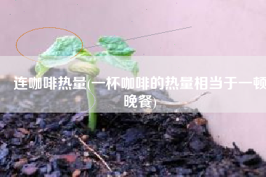 连咖啡热量(一杯咖啡的热量相当于一顿晚餐)