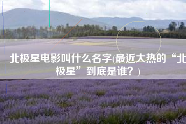 北极星电影叫什么名字(最近大热的“北极星”到底是谁？)