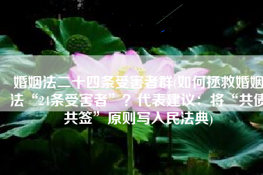 婚姻法二十四条受害者群(如何拯救婚姻法“24条受害者”？代表建议：将“共债共签”原则写入民法典)