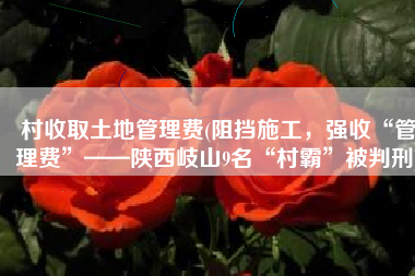 村收取土地管理费(阻挡施工，强收“管理费”——陕西岐山9名“村霸”被判刑)