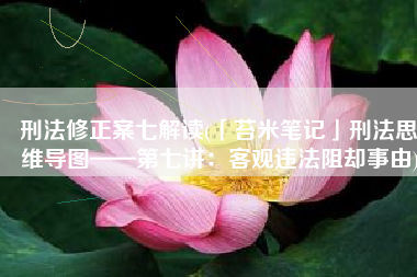 刑法修正案七解读(「苔米笔记」刑法思维导图——第七讲：客观违法阻却事由)