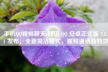 手机QQ视频聊天(腾讯 QQ 安卓正式版 8.8.11 发布：全新简洁模式，视频通话新特效)