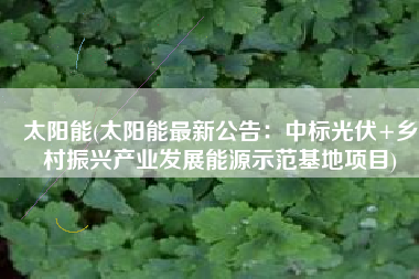 太阳能(太阳能最新公告：中标光伏+乡村振兴产业发展能源示范基地项目)