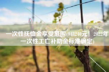 一次性抚恤金享受范围(948240元！2022年一次性工亡补助金标准确定)