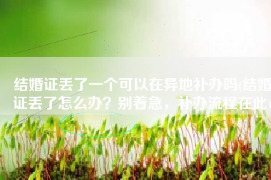 结婚证丢了一个可以在异地补办吗(结婚证丢了怎么办？别着急，补办流程在此)