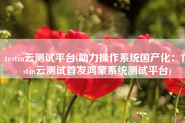 testin云测试平台(助力操作系统国产化：Testin云测试首发鸿蒙系统测试平台)