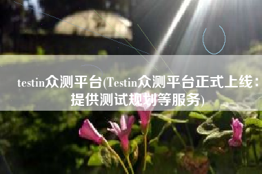 testin众测平台(Testin众测平台正式上线：提供测试规划等服务)