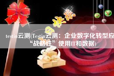 testin云测(Testin云测：企业数字化转型应“战略性”使用IT和数据)